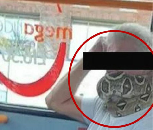Man causes panic by wearing a snake as a mask