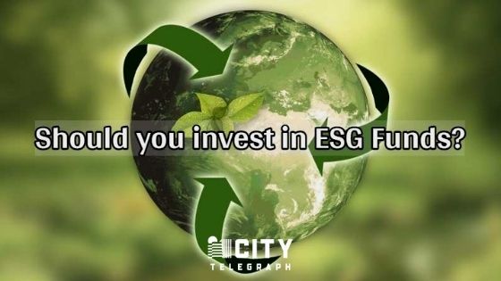 How to invest in sustainable companies and make money from it