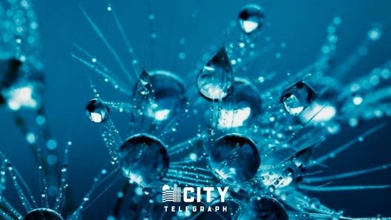 Is the hydrogen trend sustainable and which stocks could benefit