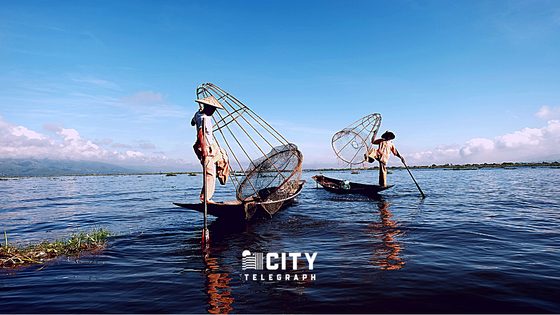 10 Largest Creatures Ever Caught By Fishermen