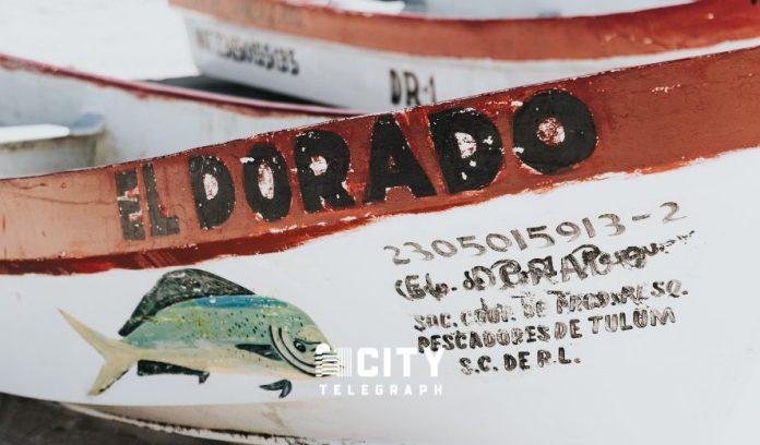 These are the 4 most beautiful Eldorados for Bitcoin millionaires