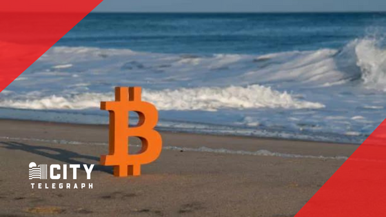 One of the early supporters of Bitcoin predicts a 10-fold growth of the main cryptocurrency