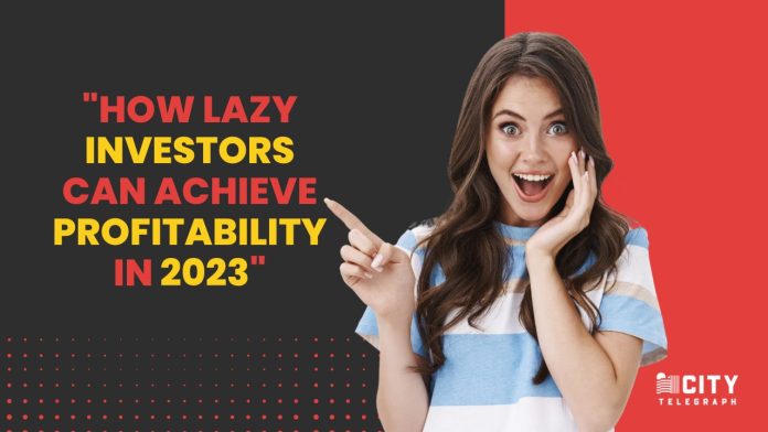 Lazy Investors 5 Strategies to Profitability in 2023