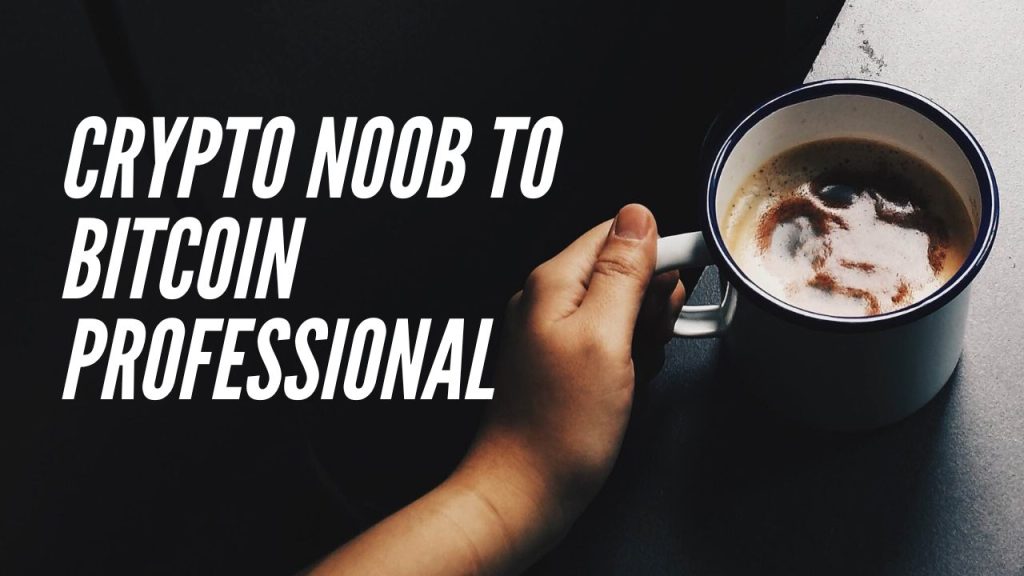 From crypto noob to bitcoin professional hodler in 5 steps