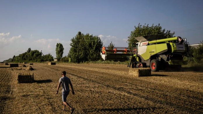 Mastering the Future of Finance MSc in Banking & FinTech (1)