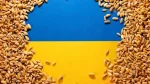 Poland's Stance on Ukrainian Agricultural Imports