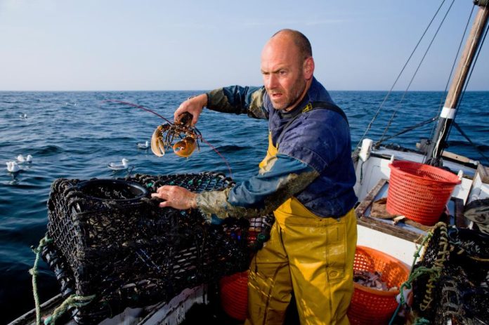 State of UK Fisheries Sustainability State of UK Fisheries Sustainability